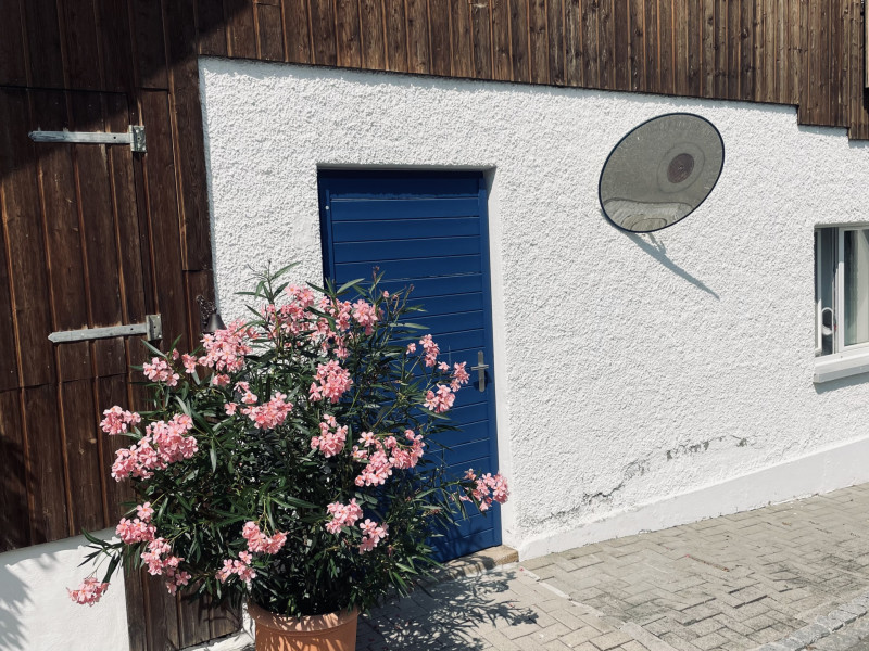 Eingang zum Studio Organic Moves: blaue Tür in der weissen Hauswand
